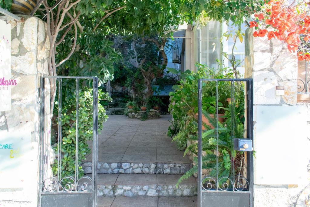 Zahrada ubytování Bicorna - Chania
