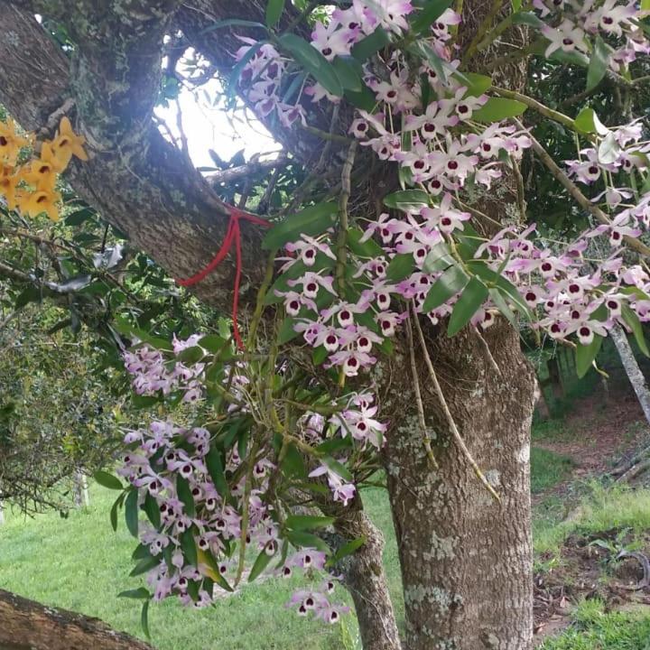  LINDA CASA DE CAMPO