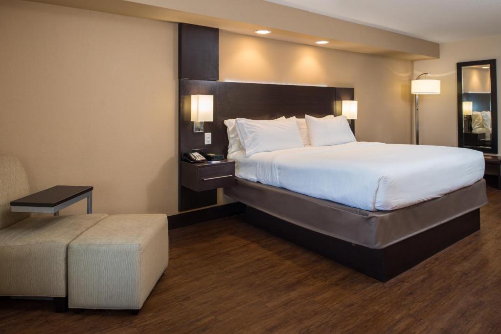 Holiday Inn Express & Suites San Antonio Medical Center North, an IHG Hotel - Standard Zimmer