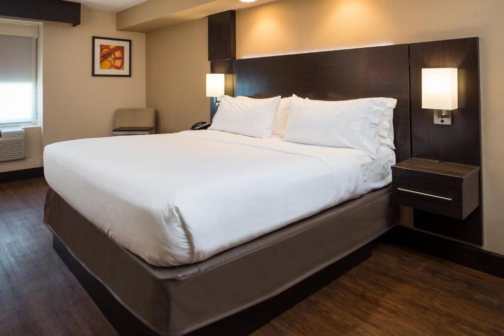 Holiday Inn Express & Suites San Antonio Medical Center North, an IHG Hotel - Chambre King Standard