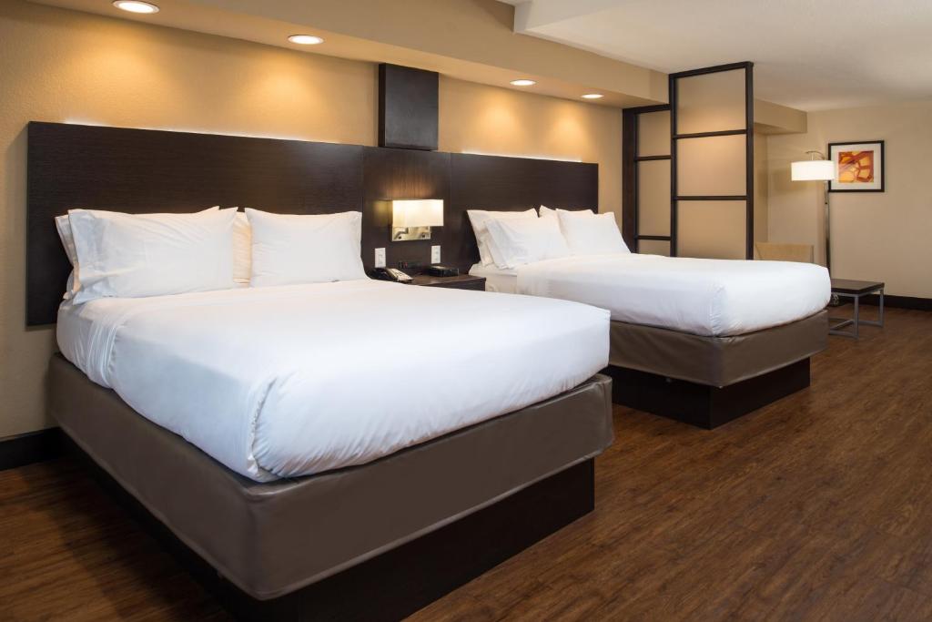Holiday Inn Express & Suites San Antonio Medical Center North, an IHG Hotel - Chambre Queen Avec Deux Lits Queen - Accessible Aux Personnes Handicapées Et À L'Audience/Non-Fumeurs
