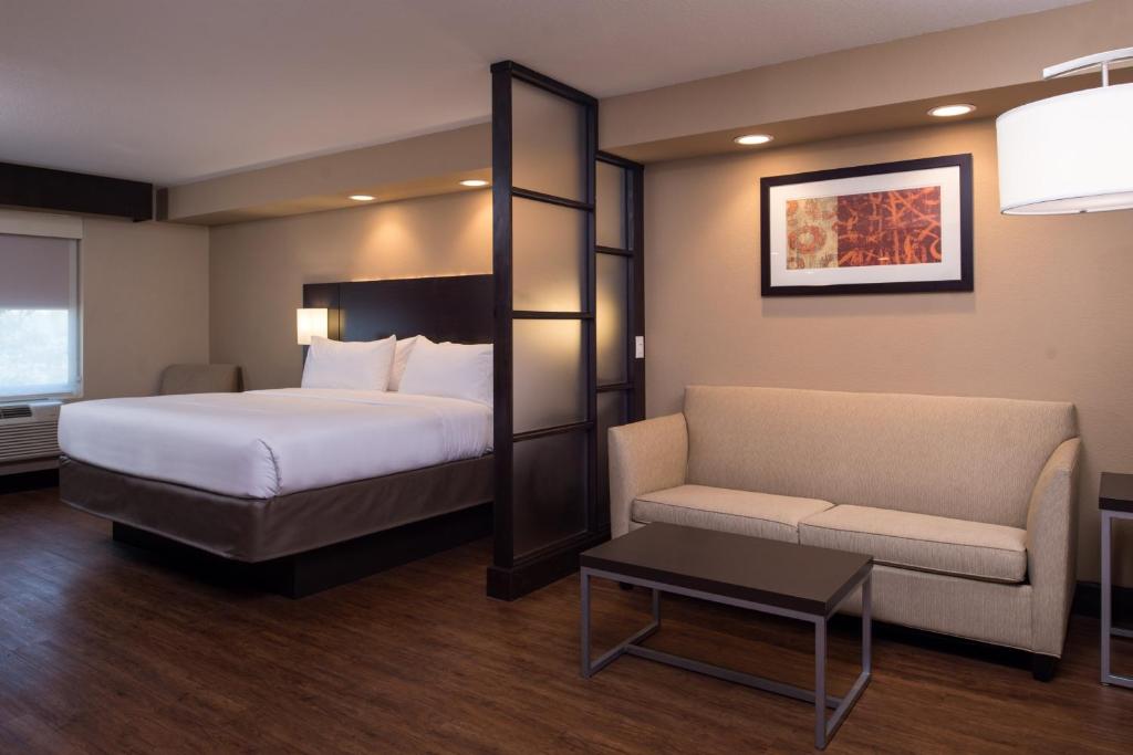 Holiday Inn Express & Suites San Antonio Medical Center North, an IHG Hotel - Suite Mit Kingsize-Bett Und Schlafsofa