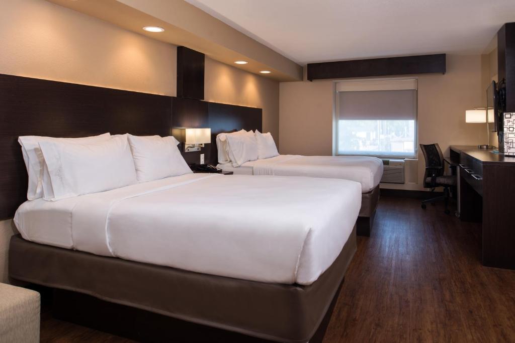 Holiday Inn Express & Suites San Antonio Medical Center North, an IHG Hotel - Suite - Hören Zugänglich - Nichtraucher