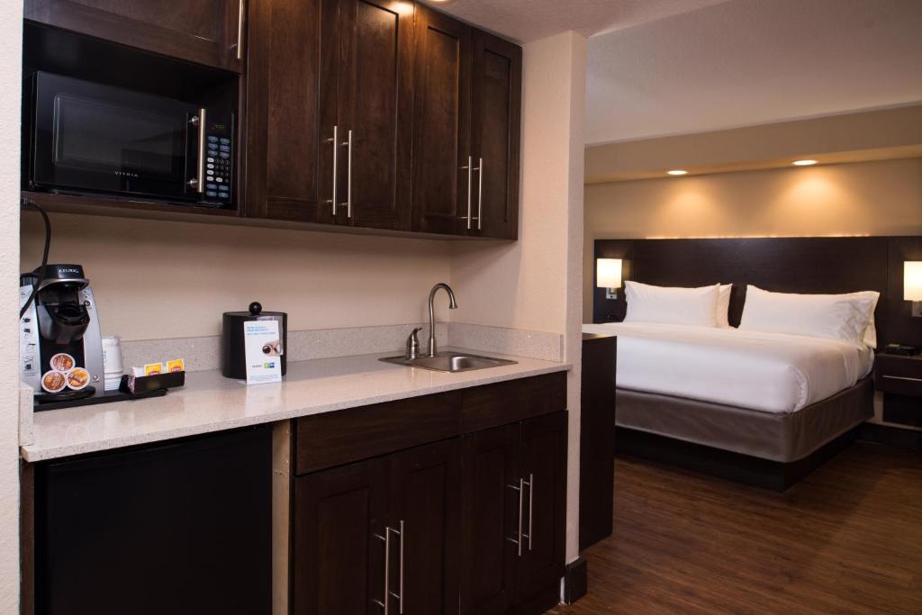 Holiday Inn Express & Suites San Antonio Medical Center North, an IHG Hotel - Suite Mit Kingsize-Bett