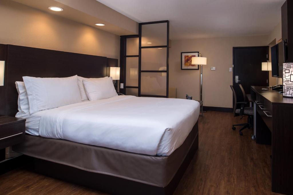 Holiday Inn Express & Suites San Antonio Medical Center North, an IHG Hotel - Suite King Avec Canapé-Lit