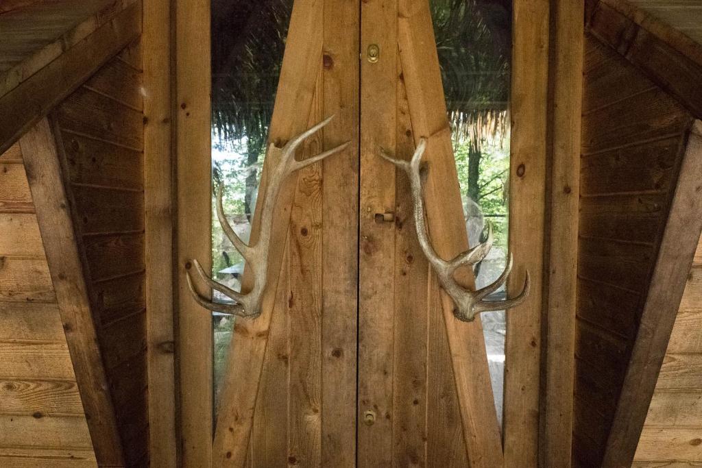 Imagem da galeria de Parc Omega em Montebello