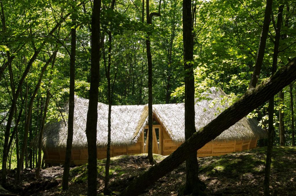 Um jardim no exterior de Parc Omega