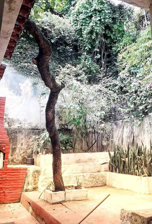  Casa escalona