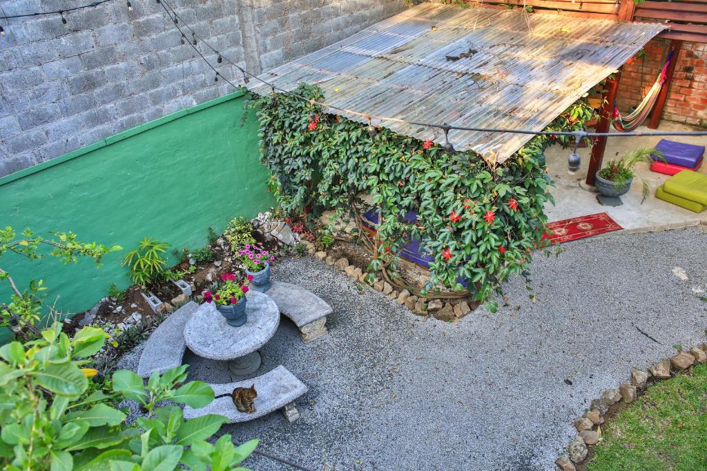 un jardín con un edificio con un montón de plantas en Mangifera Hostel, en Grecia