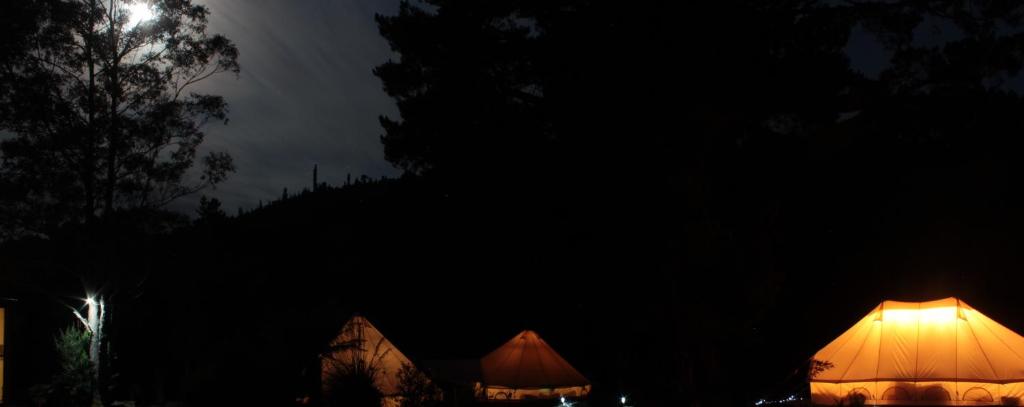 Fotografie z fotogalerie ubytování Glamping at Zeehan Bush Camp v destinaci Zeehan