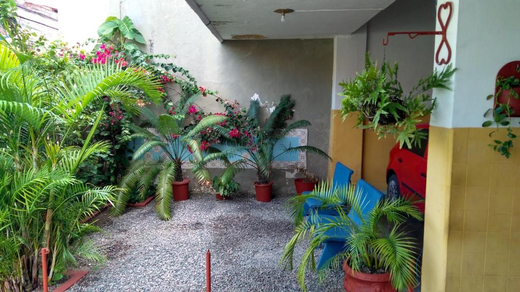 Glória Comfort