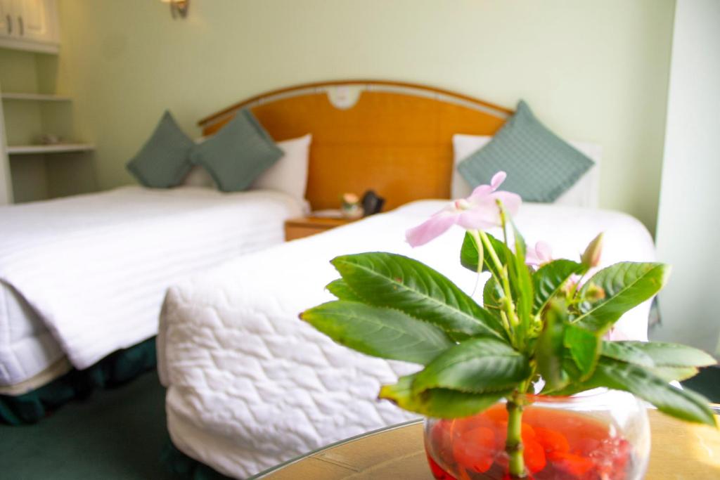 Postel nebo postele na pokoji v ubytování Hostal de La Mancha