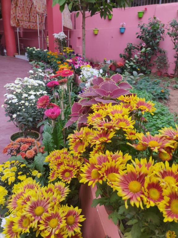 Zahrada ubytování Ratna Resort near Bhubaneswar Airport