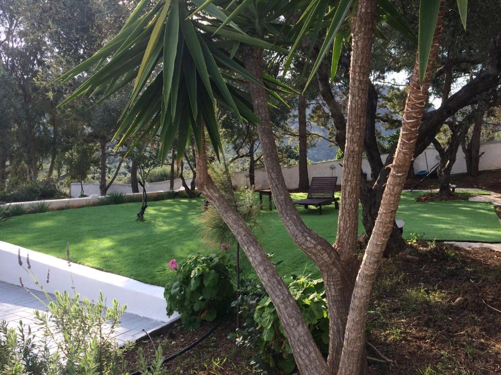 Ogród w obiekcie Milatos Village Cretan Agrotourism Hotel