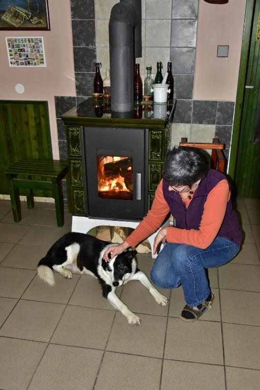 Domácí mazlíčci ubytovaní s hosty v ubytování Hostinec U Čertova mlýna