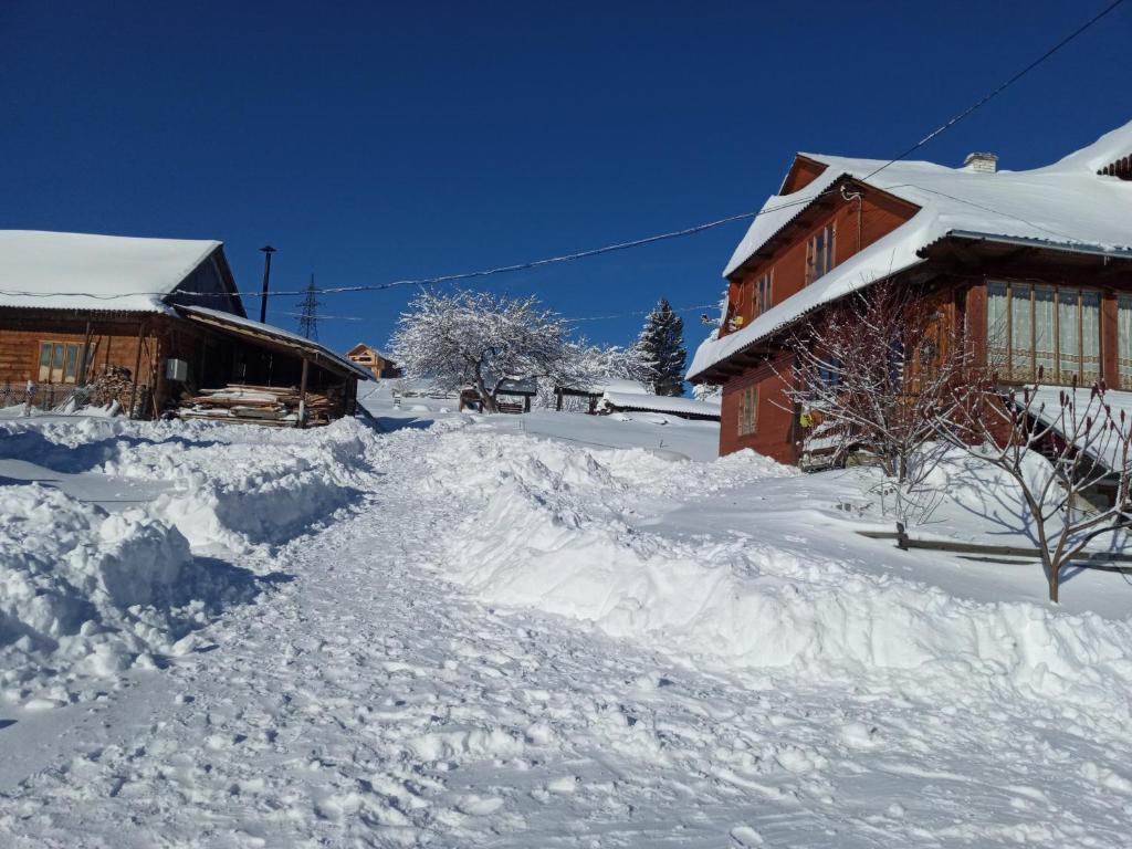 un cortile coperto di neve accanto a una casa di Na gorbochku u Natali a Vorokhta