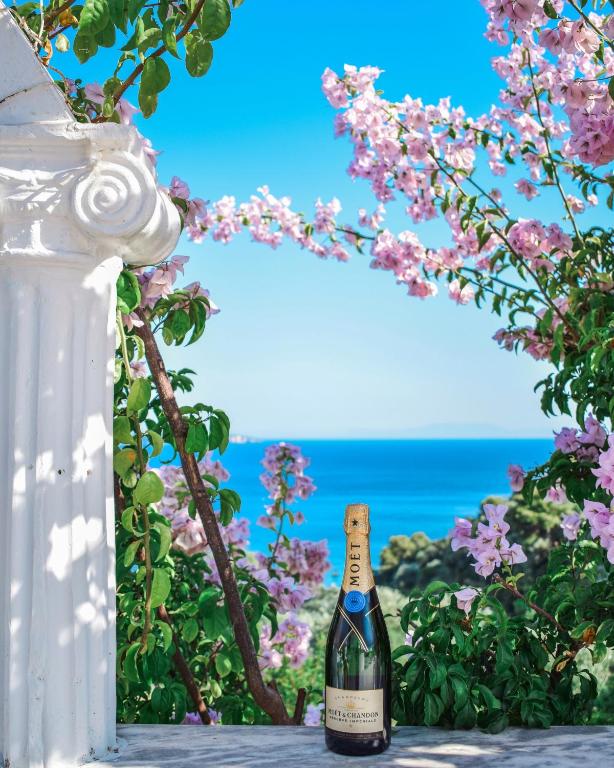 Dolphin Apartments - 17