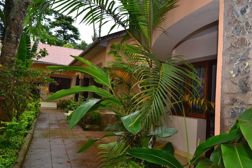 a palm tree in front of a building at Serene Mountain Lodge in Marangu