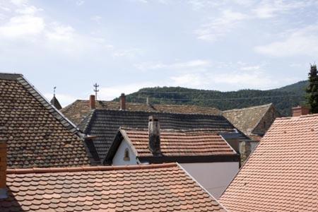 Nespecifikovaný výhled na hory nebo výhled na hory při pohledu z hotelu