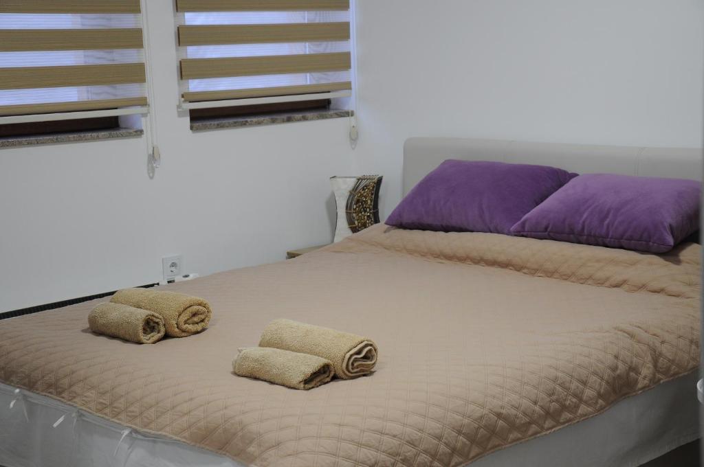 科帕奥尼克SUNCANI BREG - STUDIO 11的一张床，上面有两个枕头