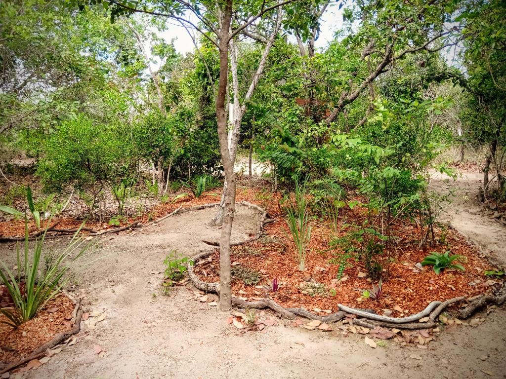  Casa Da Natureza