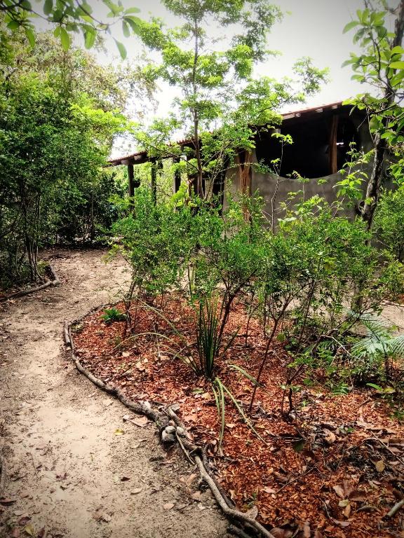  Casa Da Natureza