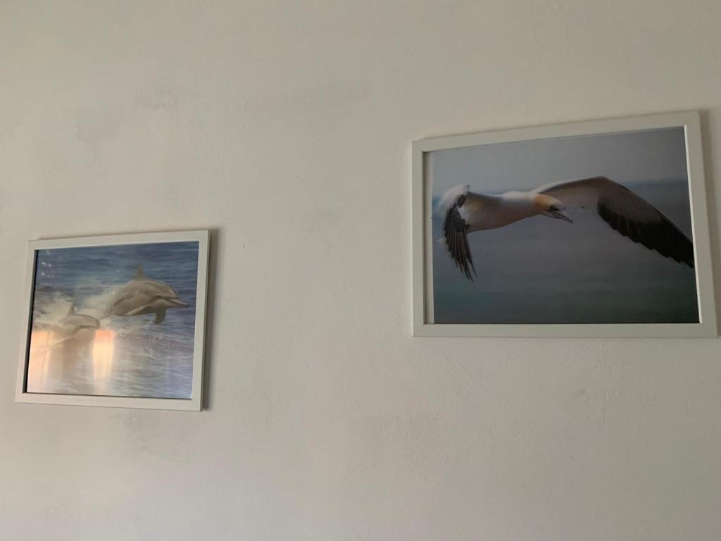 Fotografia z galérie ubytovania Casa Daniele v destinácii Lido di Ostia