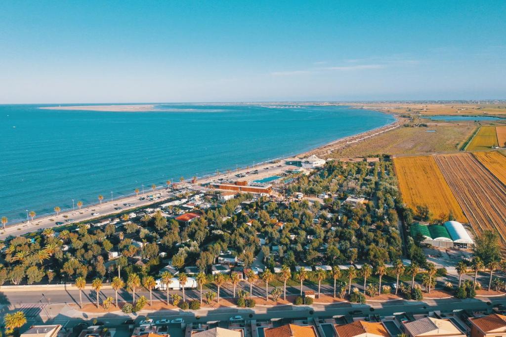 una vista aérea de la playa y del océano en TAIGA Delta de l'Ebre, en L'Ampolla