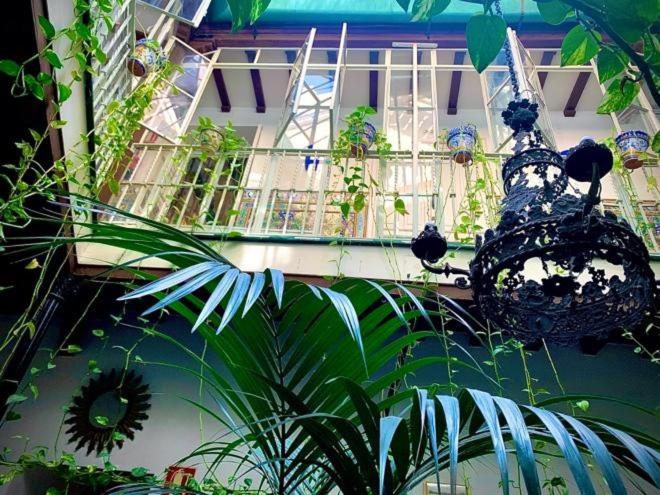 Vonkajšia záhrada v ubytovaní Hostal Lis