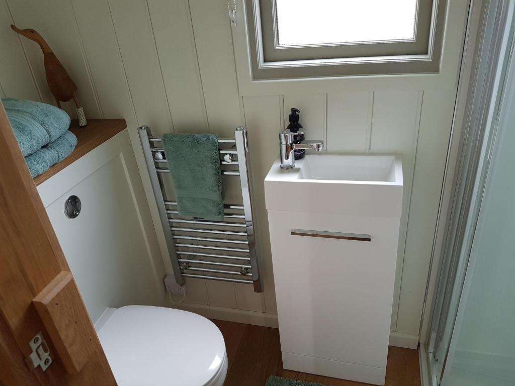 Un baño de 40 Bernisdale - Shepherds Hut