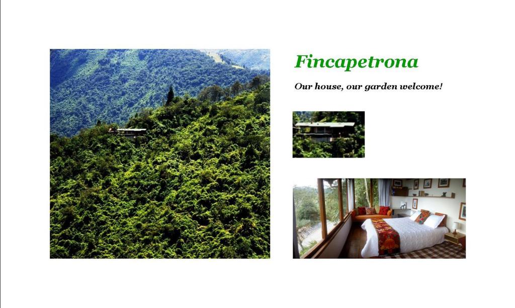 een collage van foto's van een berg met een bed bij Finca Petrona in Mindo