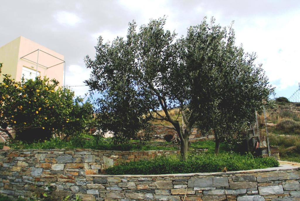 Vonkajšia záhrada v ubytovaní Garden house Karystos