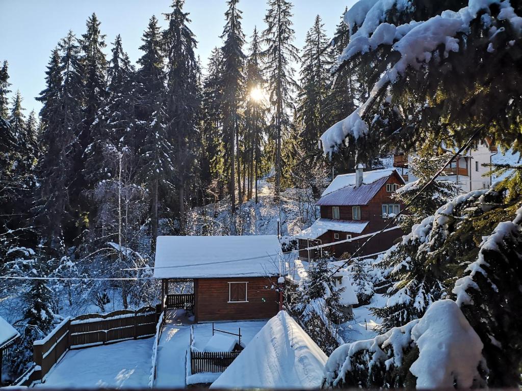 a cabin in the snow with the sun shining through trees at Karak Apartman in Harghita-Băi