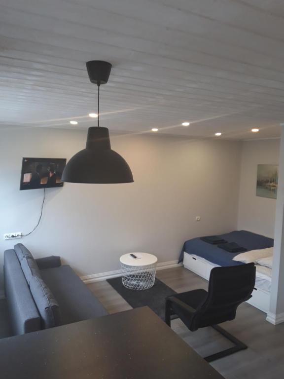 Alytus Ziburio studio - Appartamento Con 1 Camera Da Letto