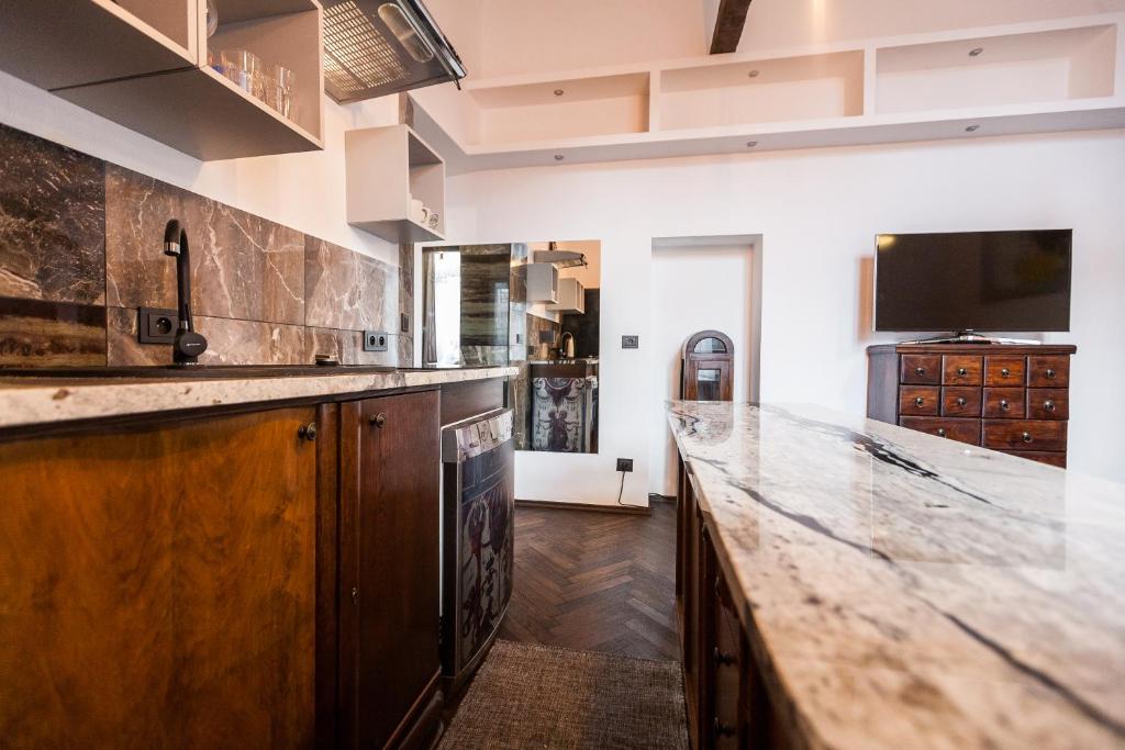 Kuchyňa alebo kuchynka v ubytovaní Stylish Apartment in Krakow Old Town