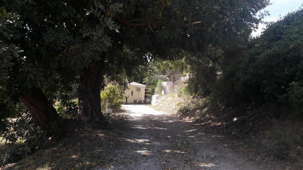 un camino de tierra con árboles y una casa en la distancia en Kerkis View Houses, en Karlovasi