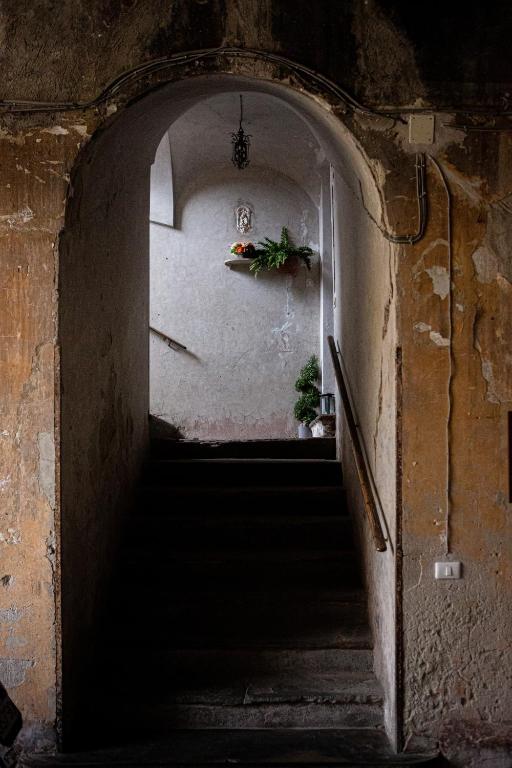 la dimora di Cornelia - 16