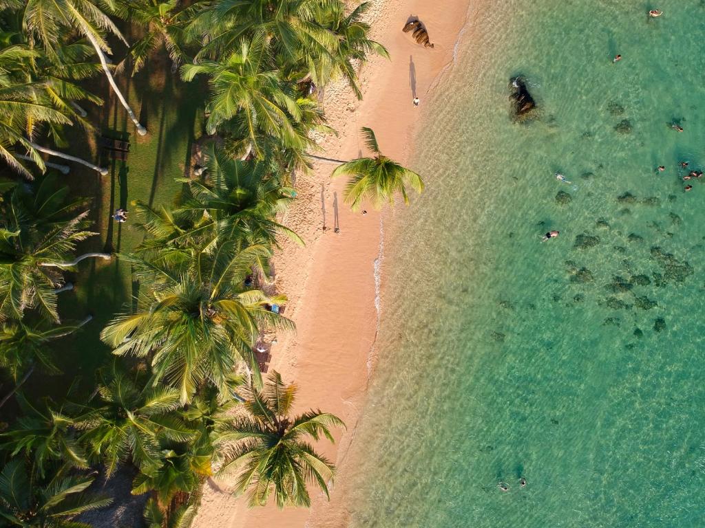 an overhead view of a beach with palm trees and the ocean at Galawatta Beach Resort in Unawatuna
