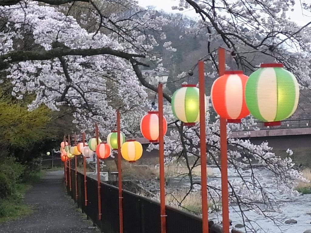 ホテルの近くで見られる自然の景観