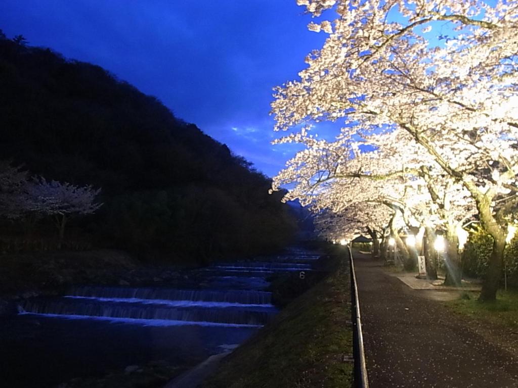 ホテルの近くで見られる自然の景観