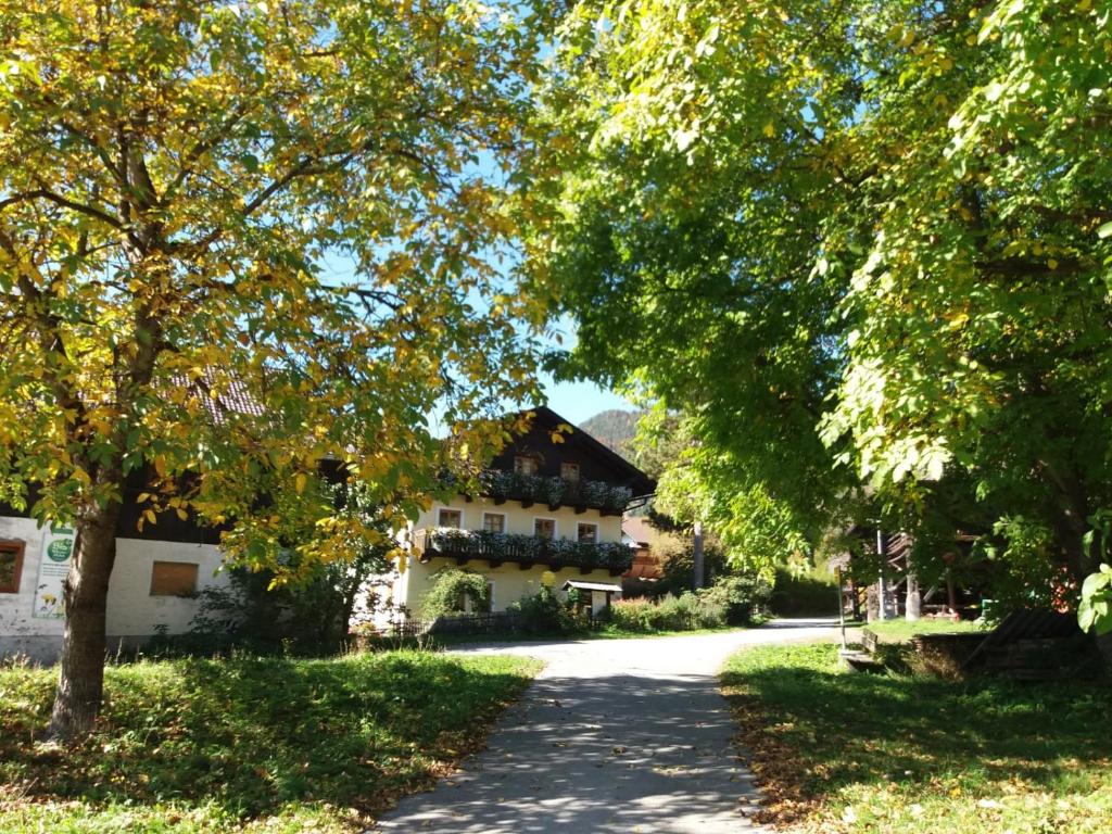 a road leading to a building with trees at Köstlhof, Familie Hassler in Oberdrauburg