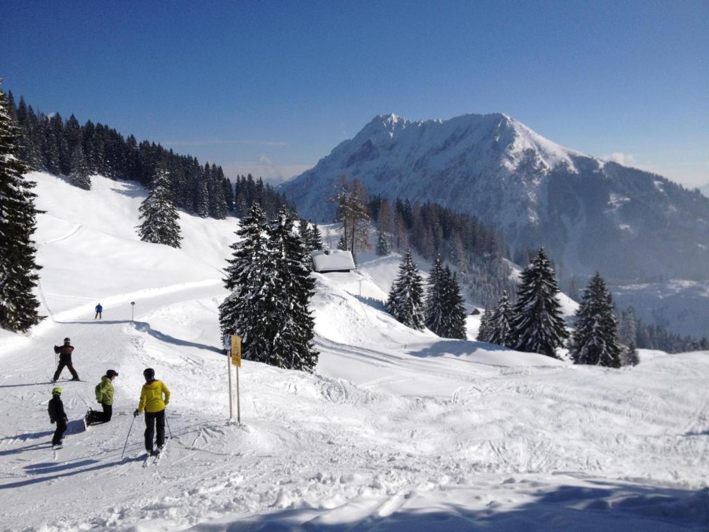 Jagdhütte Gammeringalm v zimě