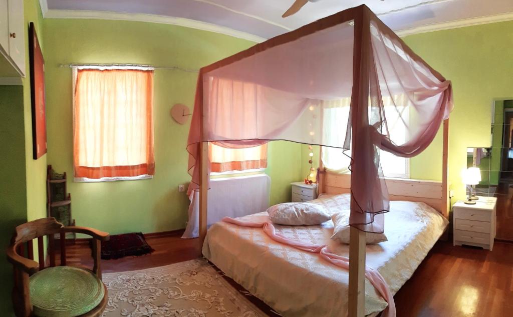 Nísos IoannínonにあるLittle Island Resortの緑の壁のベッドルーム1室(天蓋付きベッド1台付)