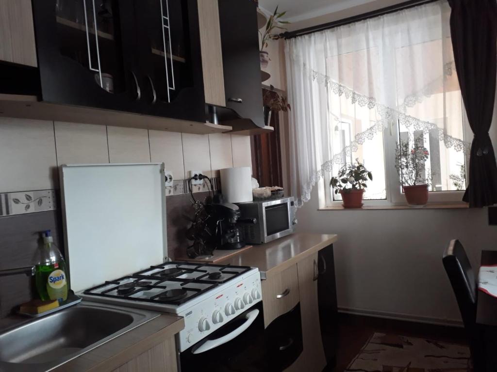 Kuchyň nebo kuchyňský kout v ubytování Casa Hărșan