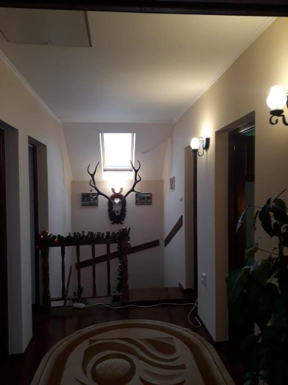 Fotografie z fotogalerie ubytování Casa Hărșan v destinaci Sovata