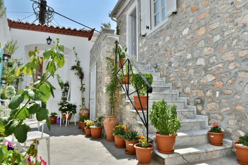 Zahrada ubytování Hydra's Pearl - White Pearl