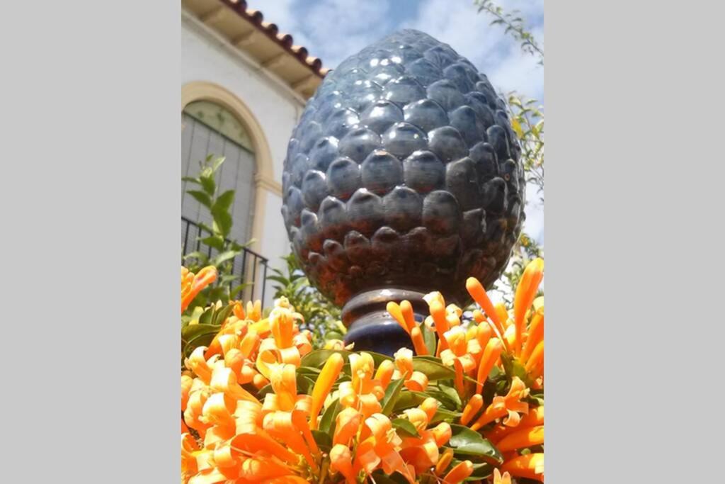 A garden outside MIRADOR DEL VALLE