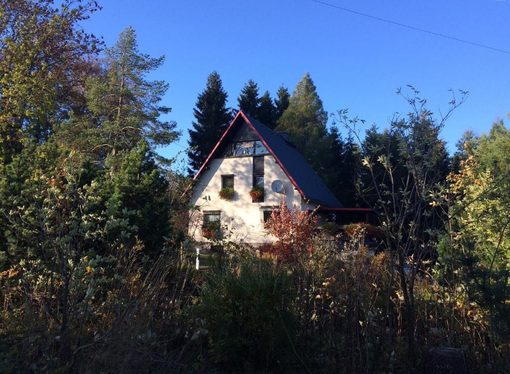 ein kleines Haus mitten im Wald in der Unterkunft Haus am Gründel in Kurort Altenberg