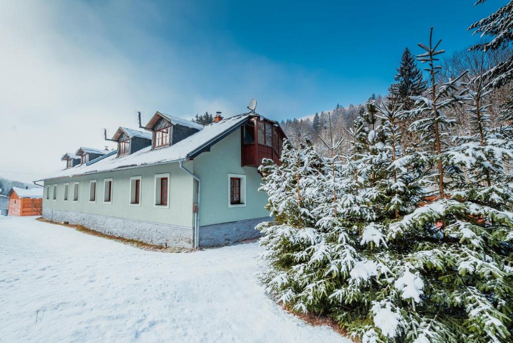 um edifício com árvores cobertas de neve em frente em Chata pod Mravenečníkem em Loučná nad Desnou