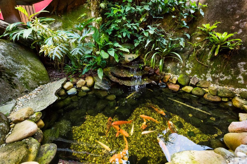  Pousada Vila Taquaras